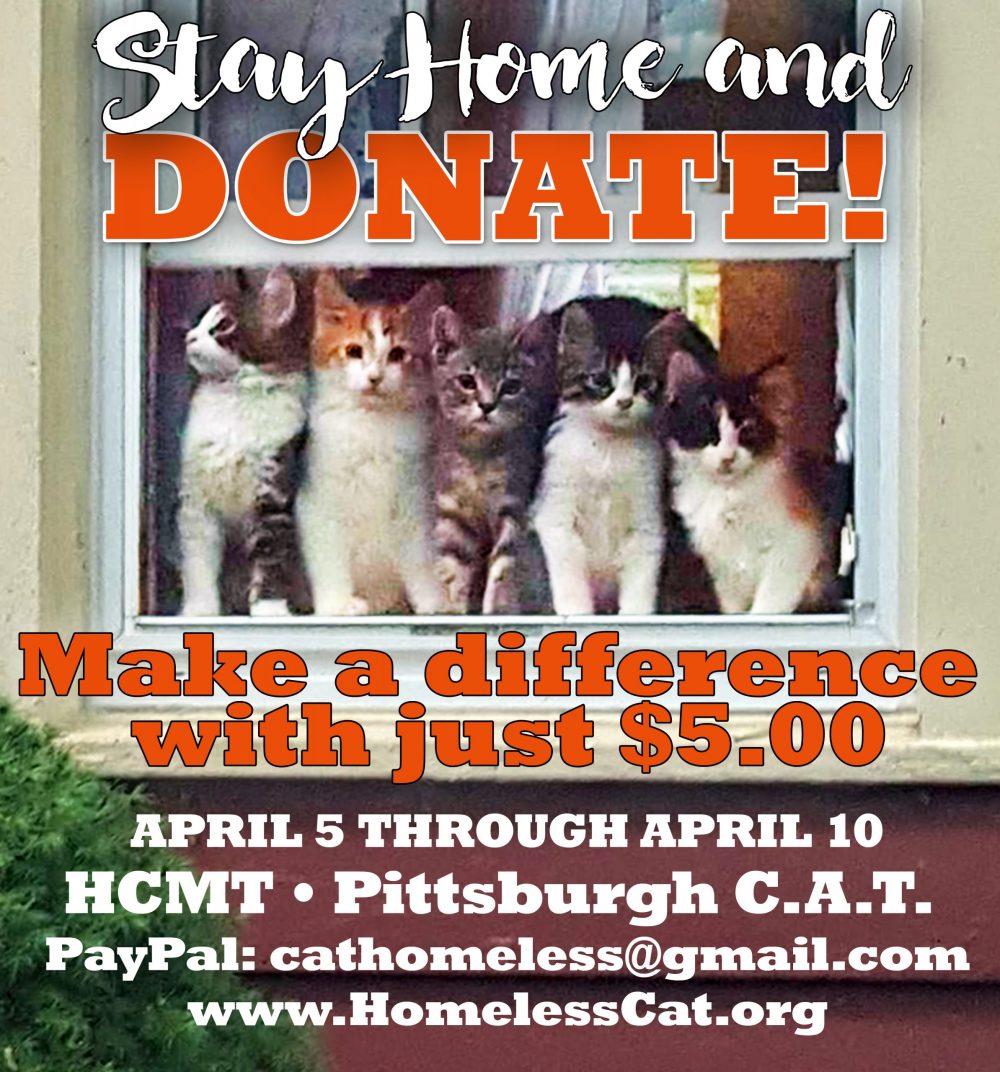 Homeless Cat Management Team and Pittsburgh CAT fundraiser.