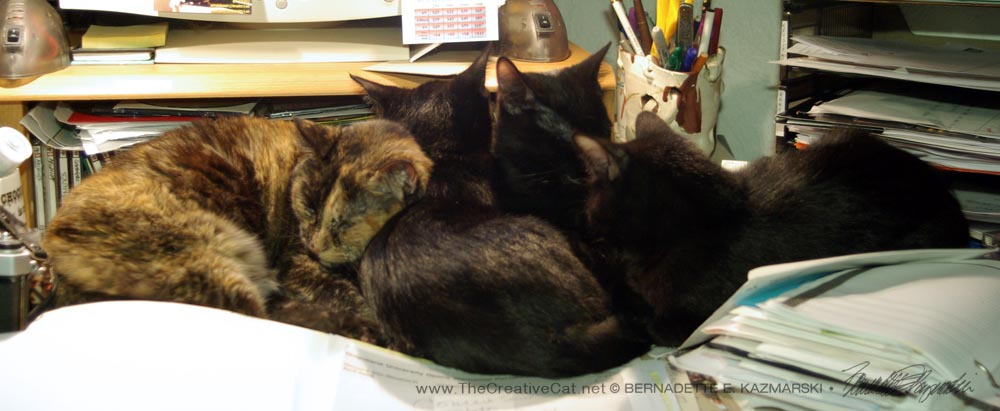 Giuseppe, Sunshine and Bean cuddle up with Cookie.