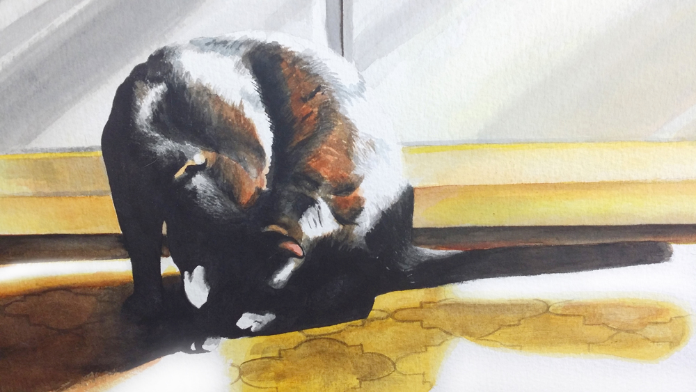 detail of watercolor of black cat