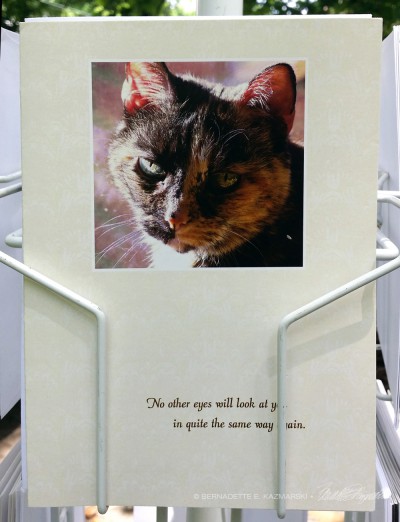 animal sympathy card.