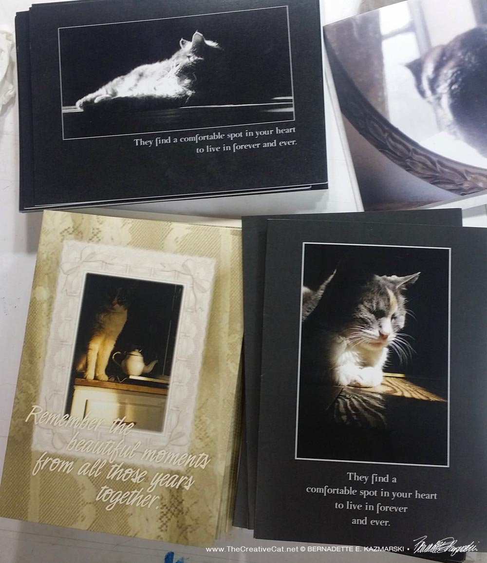 Always popular, three of the original designs, Moses and Peaches. new animal sympathy cards