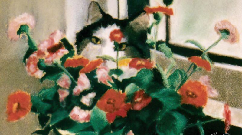 tabby and white cat in flowers