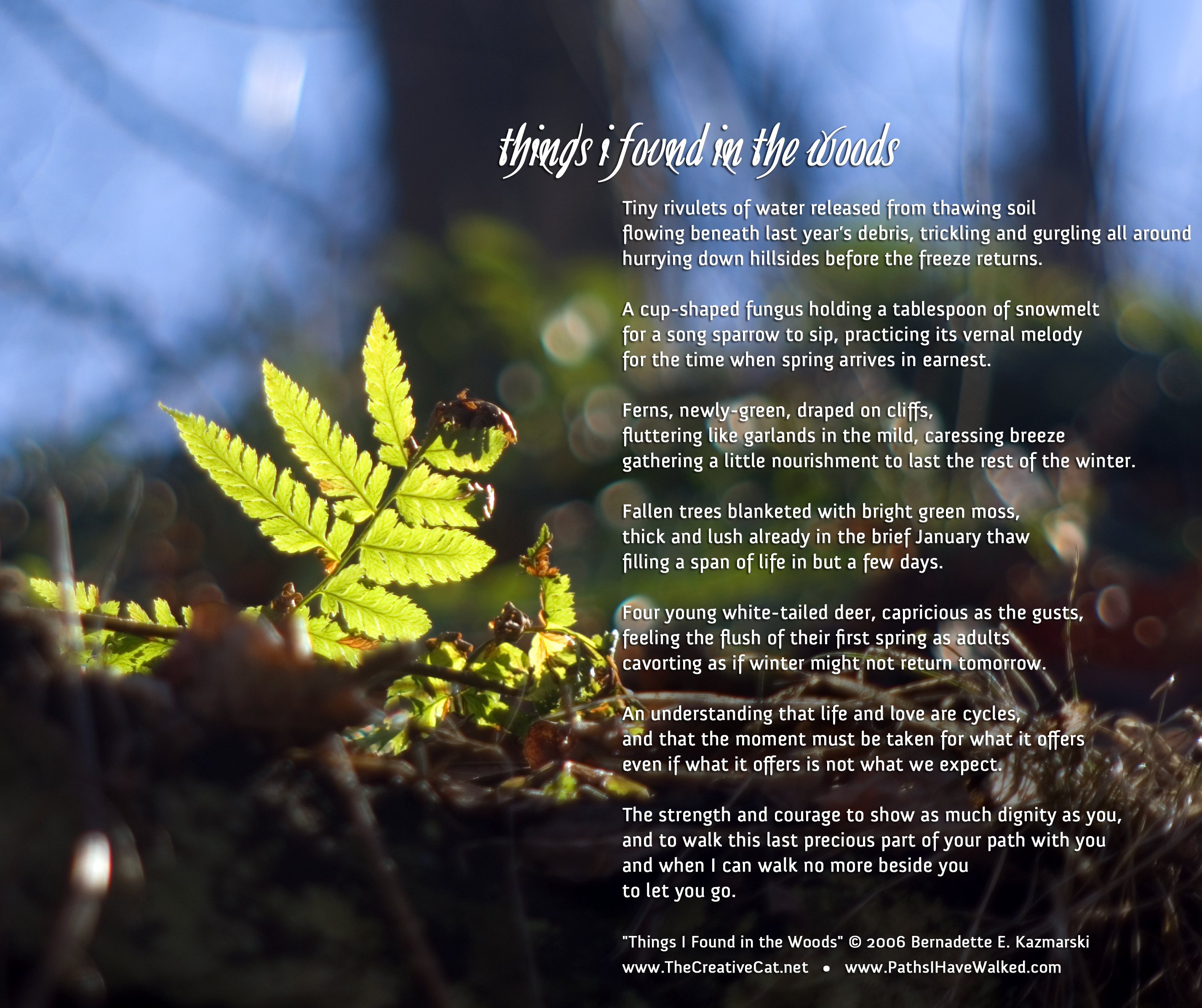 "Things I Found in the Woods" image and poem.