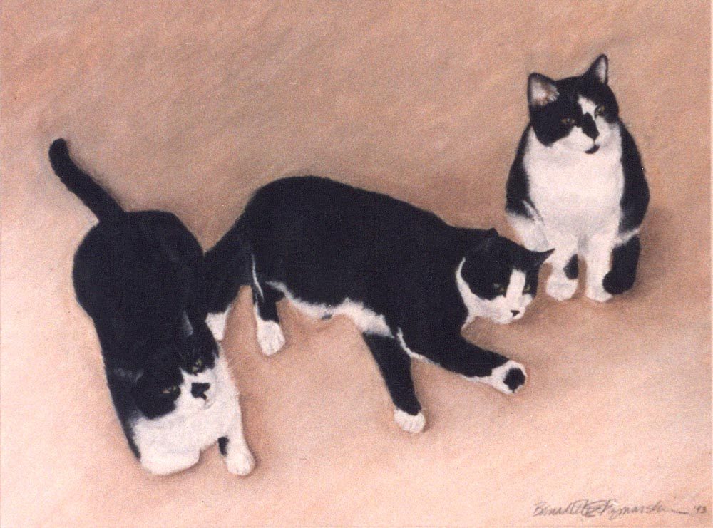 Three Black and White Cats, pastel, 16 x 22 © Bernadette E. Kazmarski