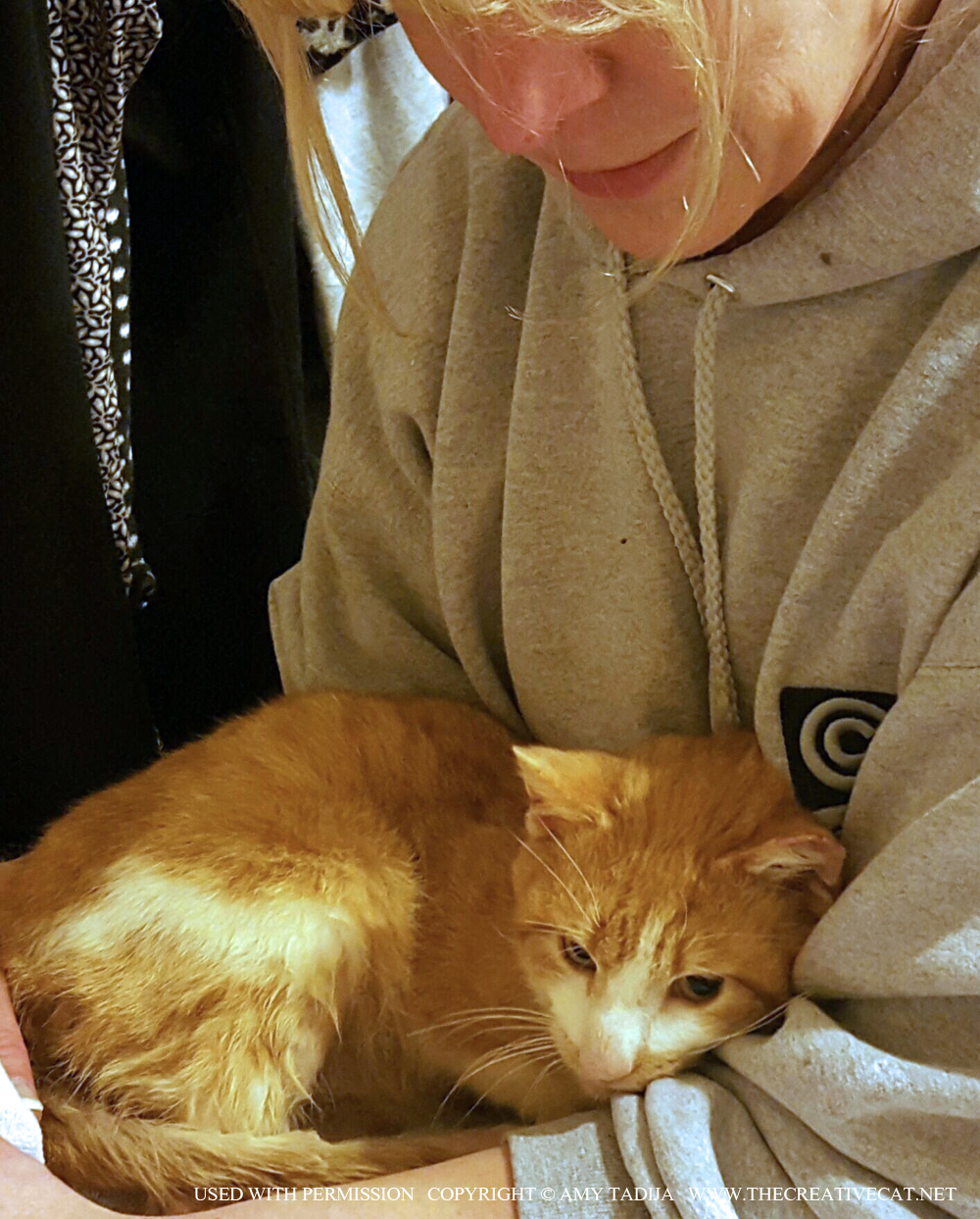 Toby on Amy's lap.