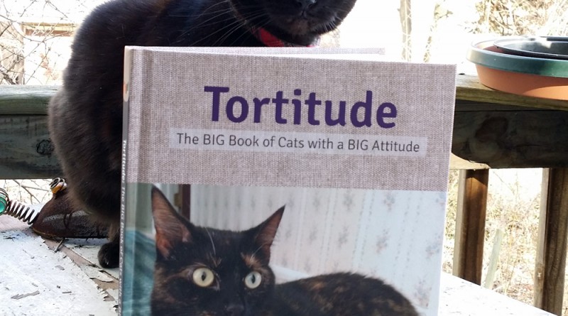 Mimi approves this book.