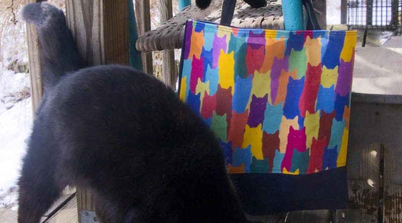 tote bag with cat art