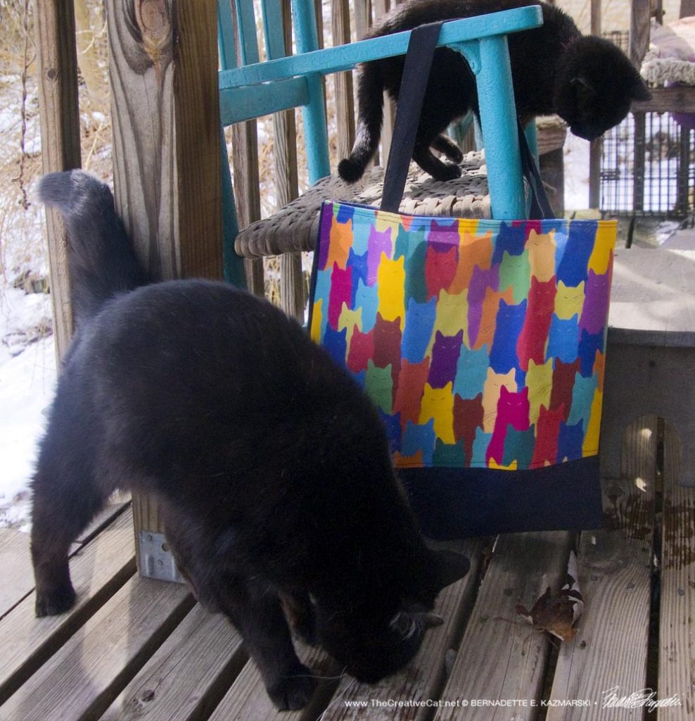 tote bag with cat art