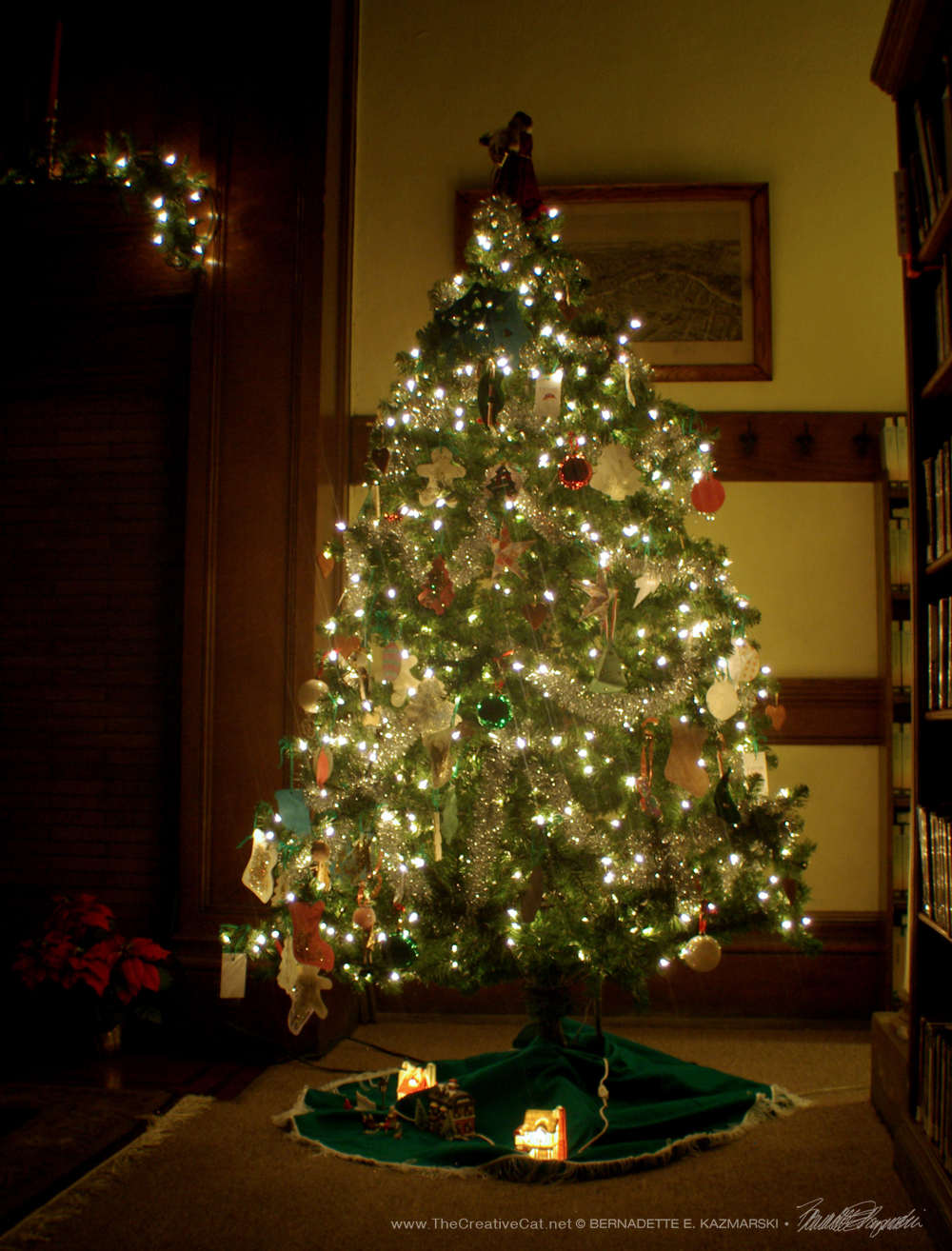Photo of the library's tree.