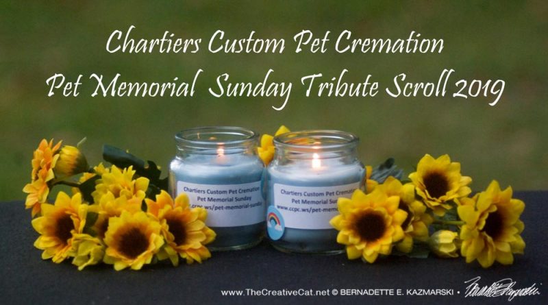 candles from pet loss ceremony