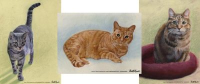 pastel portraits of cats