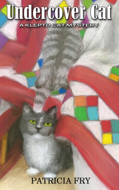 two gray cats with quilt