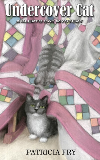 two gray cats with quilt