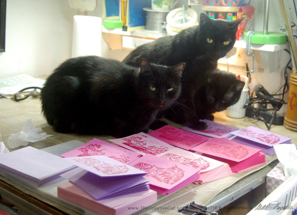 Meet my quality control team: Mewsette, Giuseppe and Jelly Bean inspect each card.