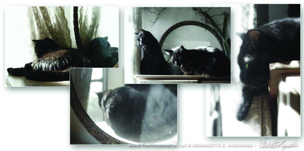     Victoriana Cats in dreamy semi-sepia tones