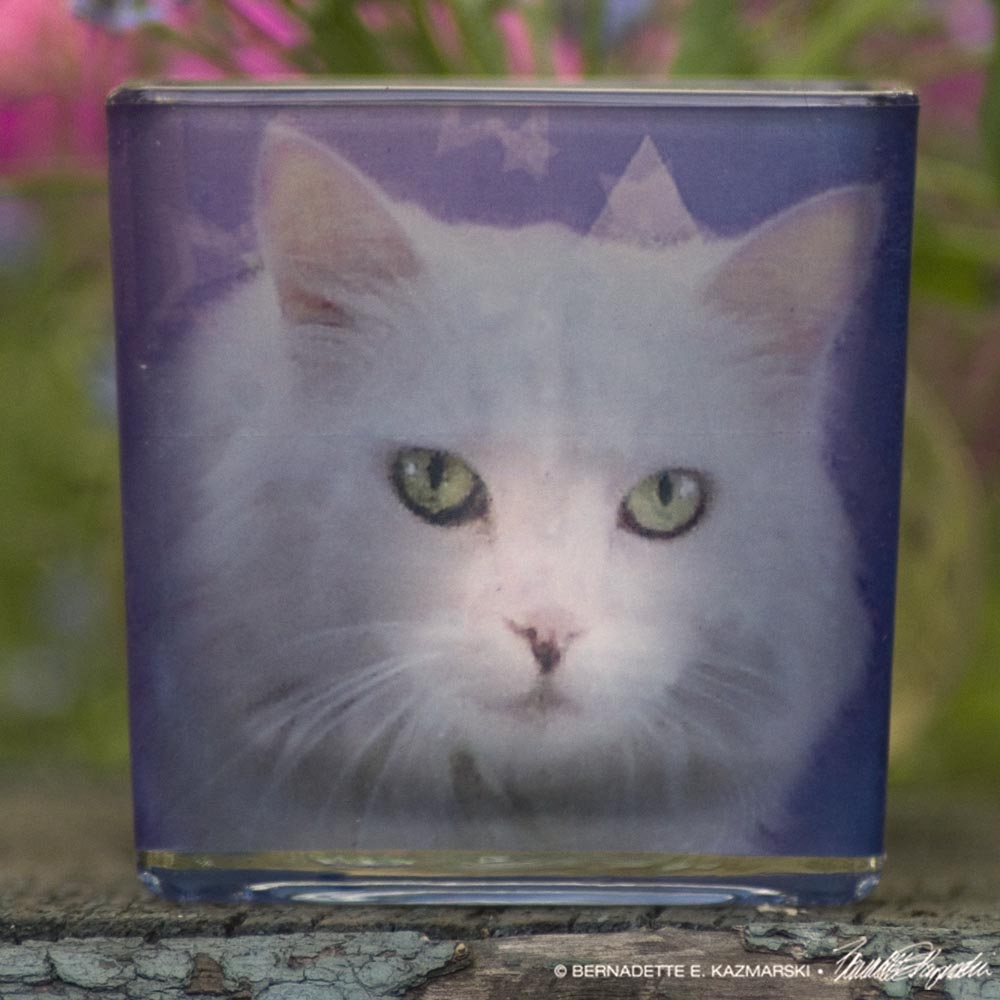 votive with white cat