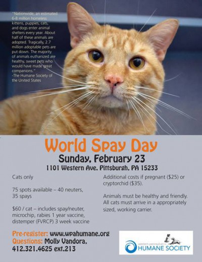 spay day clinic