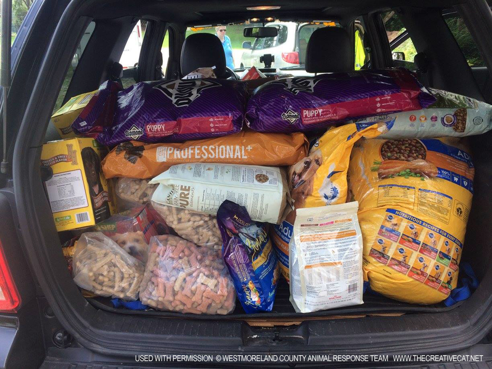 An SUV packed with food donations.