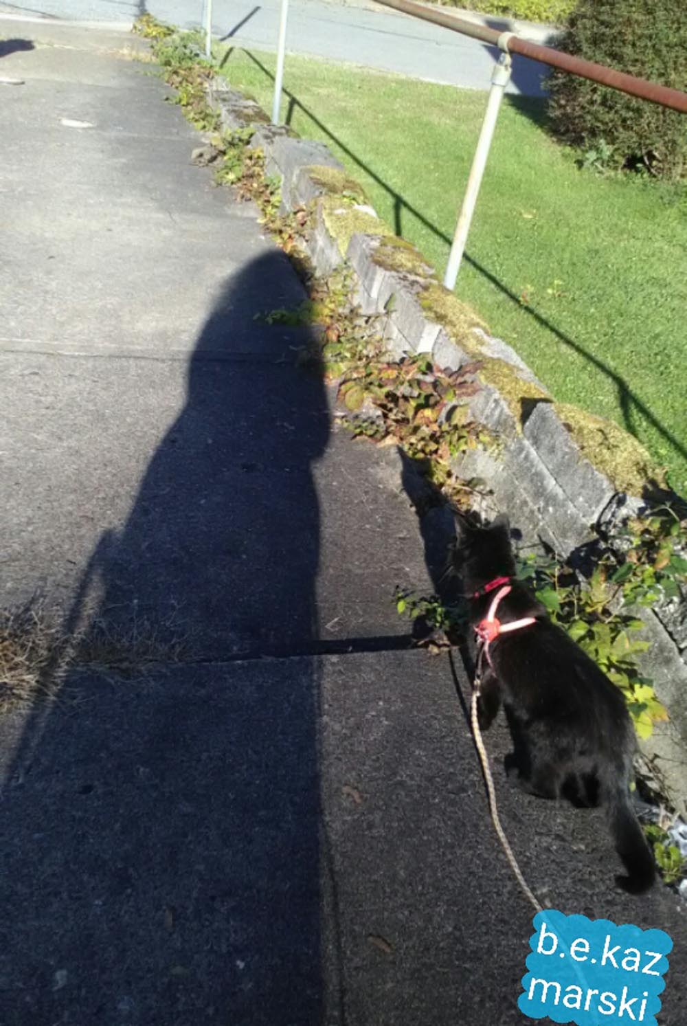 Mimi takes me for a walk.