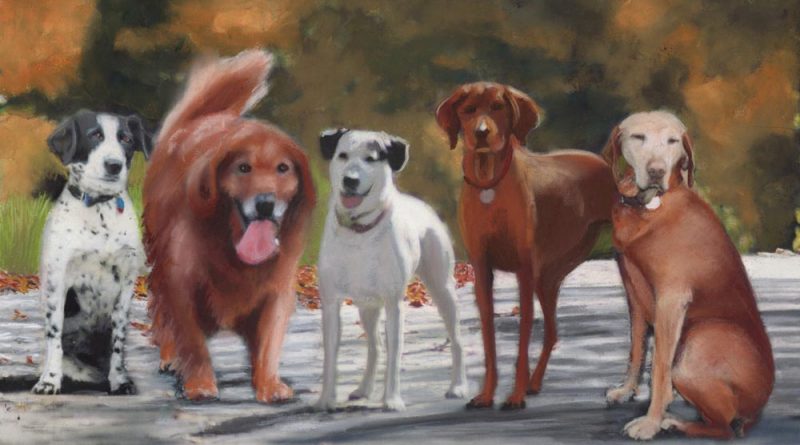 Sheena, Casey, Madison, Apollo and Ginger, 12 x 18, pastel © Bernadette E. Kazmarski