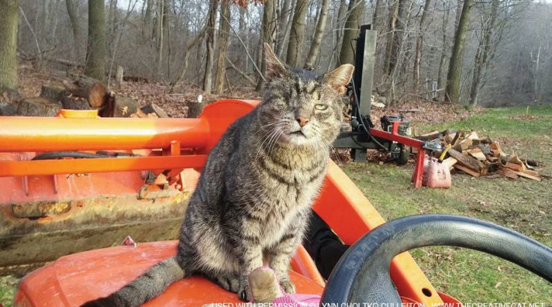 Willie manages the tractor.