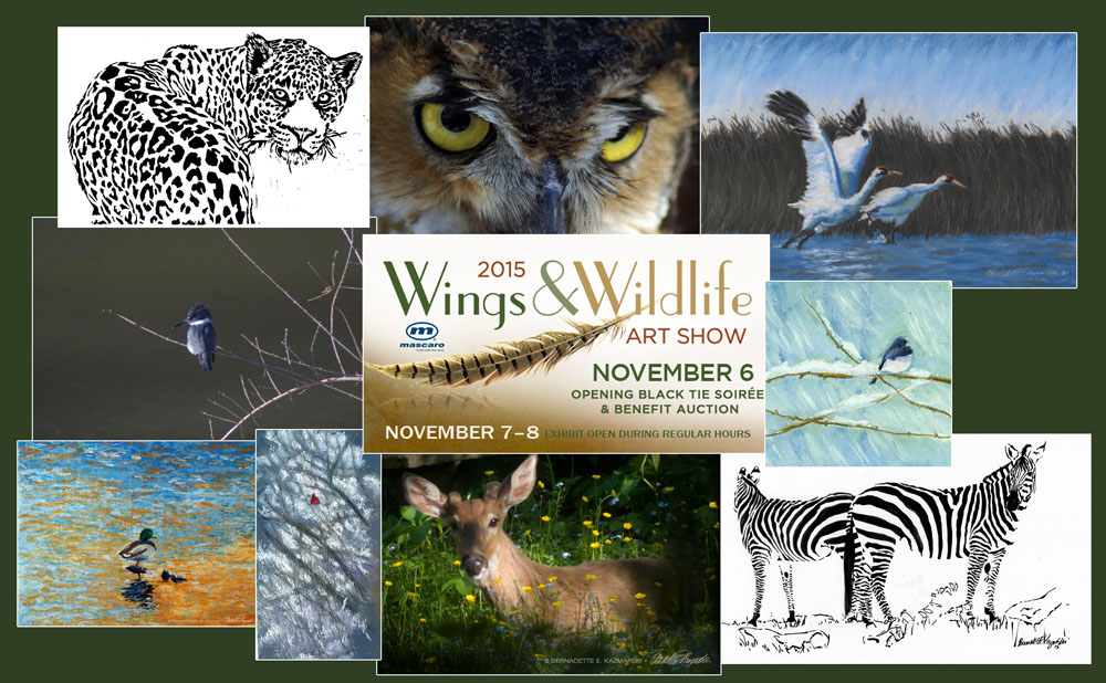 Wings & Wildlife Art Exhibit, November 7-8-9, National Aviary, Pittsburgh PA