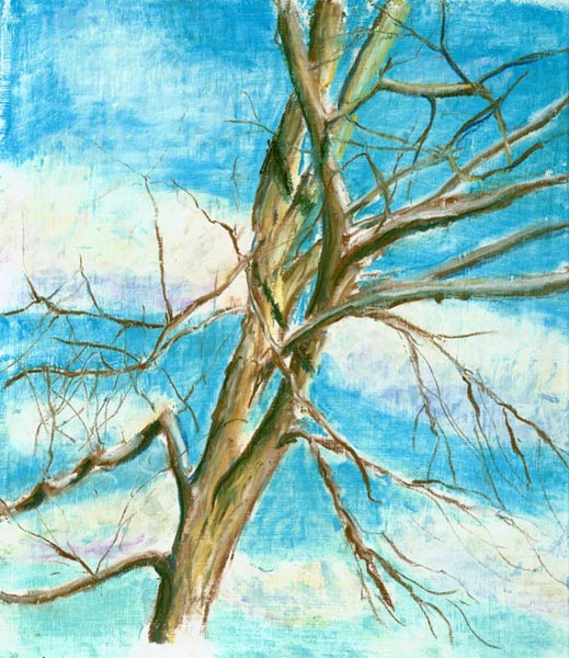 Winter Cherry Tree, pastel, 8 x 10, 2003 © Bernadette E. Kazmarski