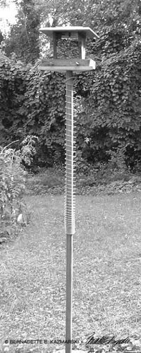 Add a slinky to your feeder pole for fun and entertainment!