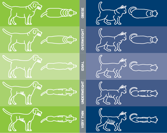 pet healthy weight chart from the AVMA