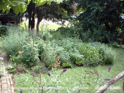 The lower section of the garden.